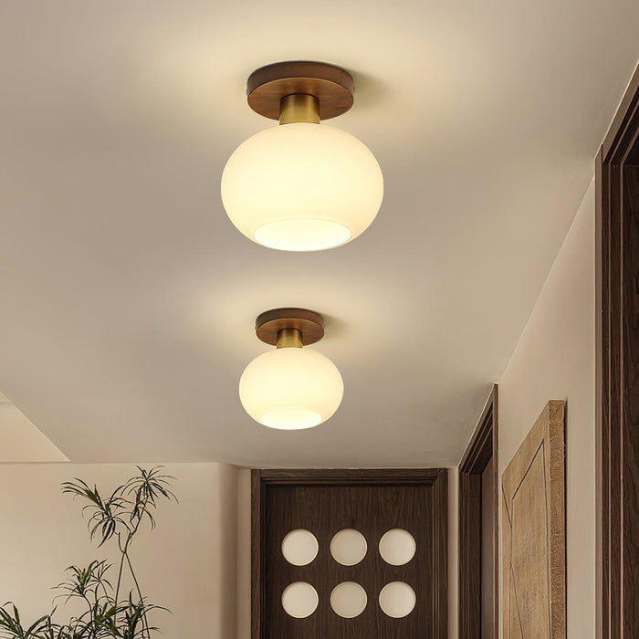 White Shell Ceiling Lamp - DWHOME