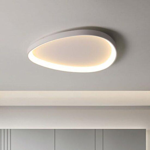 Wisdomegg Irregular Shape Ceiling Lamp - DWHOME