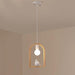 Wood Bird Resin Pendant Light.