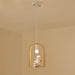 Wood Bird Resin Pendant Light.