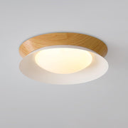 Double Half Round Ceiling Light-DWHOME