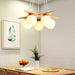 Wooden Star With Glass Chandelier-DWHOME
