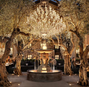 IRON & CRYSTAL ROUND CHANDELIER-DWHOME