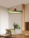 Zennith Balance Pendant Light.