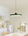 Zennith Balance Pendant Light.