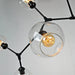 Zentra Black and Gold chandelier.