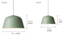 Ambit Metal Shade Pastel Coloured Pendant Light.