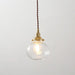 Anemone swirled glass brass pendant Light.