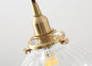 Anemone swirled glass brass pendant Light.