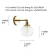 Anemone swirled glass brass wall light sconce.