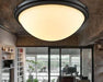 ÁSBJÖRN Moonstone Ceiling Lamp.