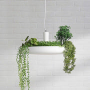Babylon Hanging Garden Plant Minimalist Pendant Light-DWHOME