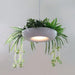 Babylon Hanging Garden Plant Minimalist Pendant Light - DWHOME