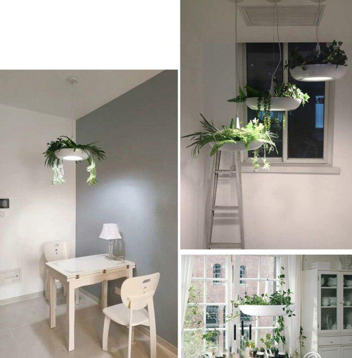 Babylon Hanging Garden Plant Minimalist Pendant Light - DWHOME