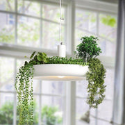 Babylon Hanging Garden Plant Minimalist Pendant Light-DWHOME