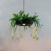 Babylon Hanging Garden Plant Minimalist Pendant Light - DWHOME