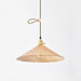 Baxter Leather Cone Shade Brass Fitting Pendant Light - DWHOME