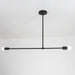 Surry Hills 2 Bulbs Modern Minimalist Line Pendant Light.