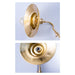 Brass Gooseneck Wall Light.