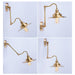 Brass Gooseneck Wall Light.