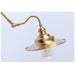 Brass Gooseneck Wall Light.