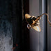 Brass Gooseneck Wall Light.