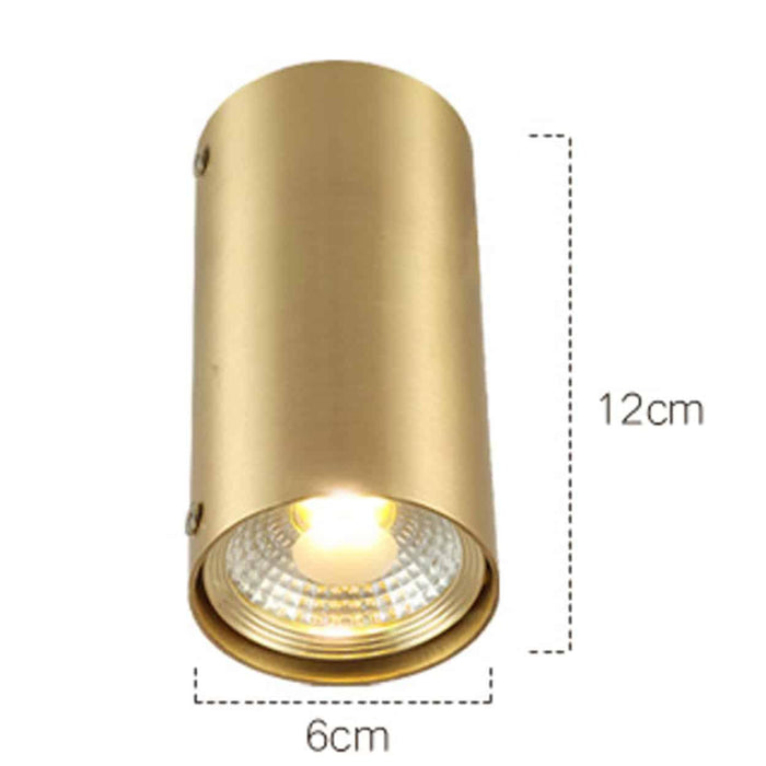 Cabaara Brass Pipe Ceiling Spotlight.