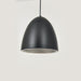 Calimero Pendant Light.