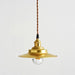 Cedric gold industrial pendant light.