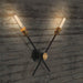 Circa Duo Industrial Wall Light With Brass Fitting - 2 heads.