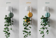 Ritz Single Head Pot Plant Wall Light-DWHOME