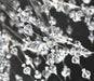 Crystal Dandelion Chandelier - DWHOME