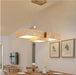 LED Wood Pendant Light.