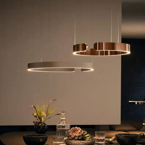 LED North-European Modern Halo Decorative Pendant Light.