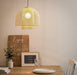 LED Metal Double Nets Pendant Light.