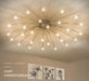 LED Starry Night Ceiling Light.