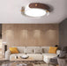 LED Circle & Belt Modern Ceiling Light.