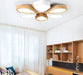 Modern Acrylic LED Flower Ceiling Light for Living Room Bedroom.