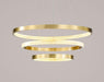 LED Circle Rings Pendant Chandelier.