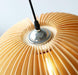 LED Wood Pumpkin Pendant Light.