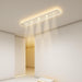 LED Linear Shape Simple Modern Ceiling Light.