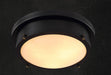 GERDA Signalling Ceiling Lamp.