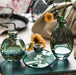 Vases en verre-DWHOME