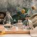 Vases en verre-DWHOME