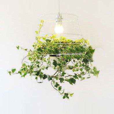 Hanging Plant Cage Pendant Light.