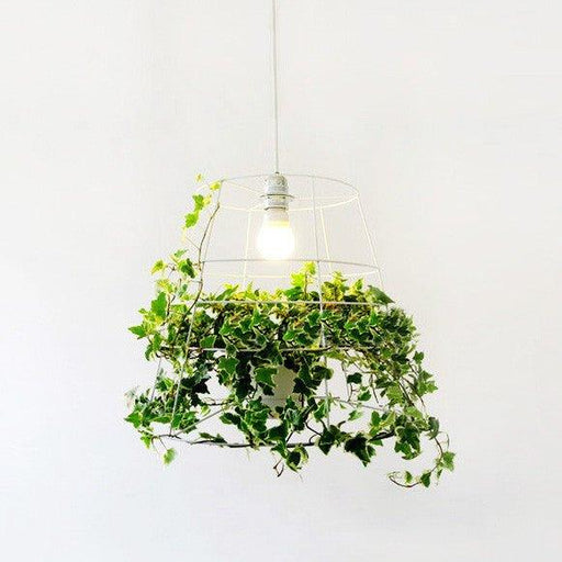 Hanging Plant Cage Pendant Light.