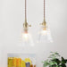 Japanese Style Glass Pendant Light - DWHOME