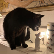Mouse Table Light-DWHOME