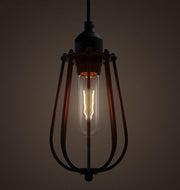 Pear Caged Bulb Industrial Pendant Light-DWHOME