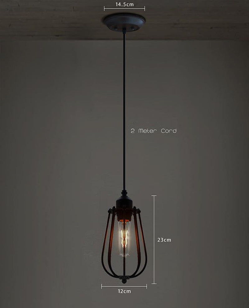 Pear Caged Bulb Industrial Pendant Light-DWHOME
